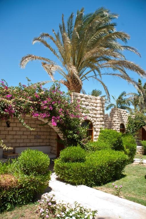 Jasmine Village Hurghada Exterior photo